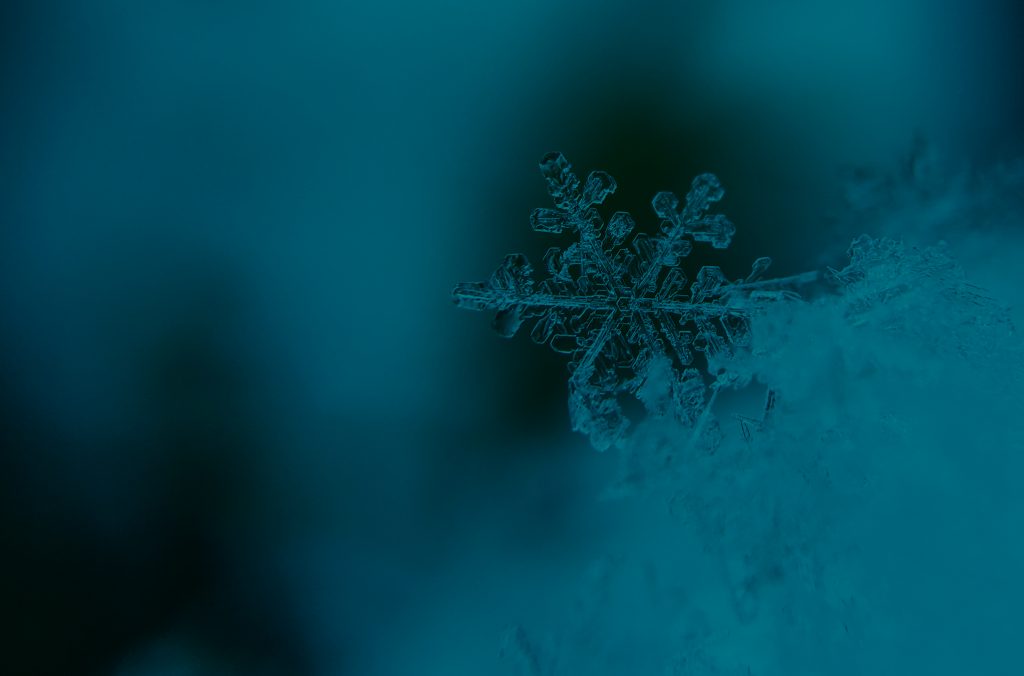 snowflake 1 1024x676 1